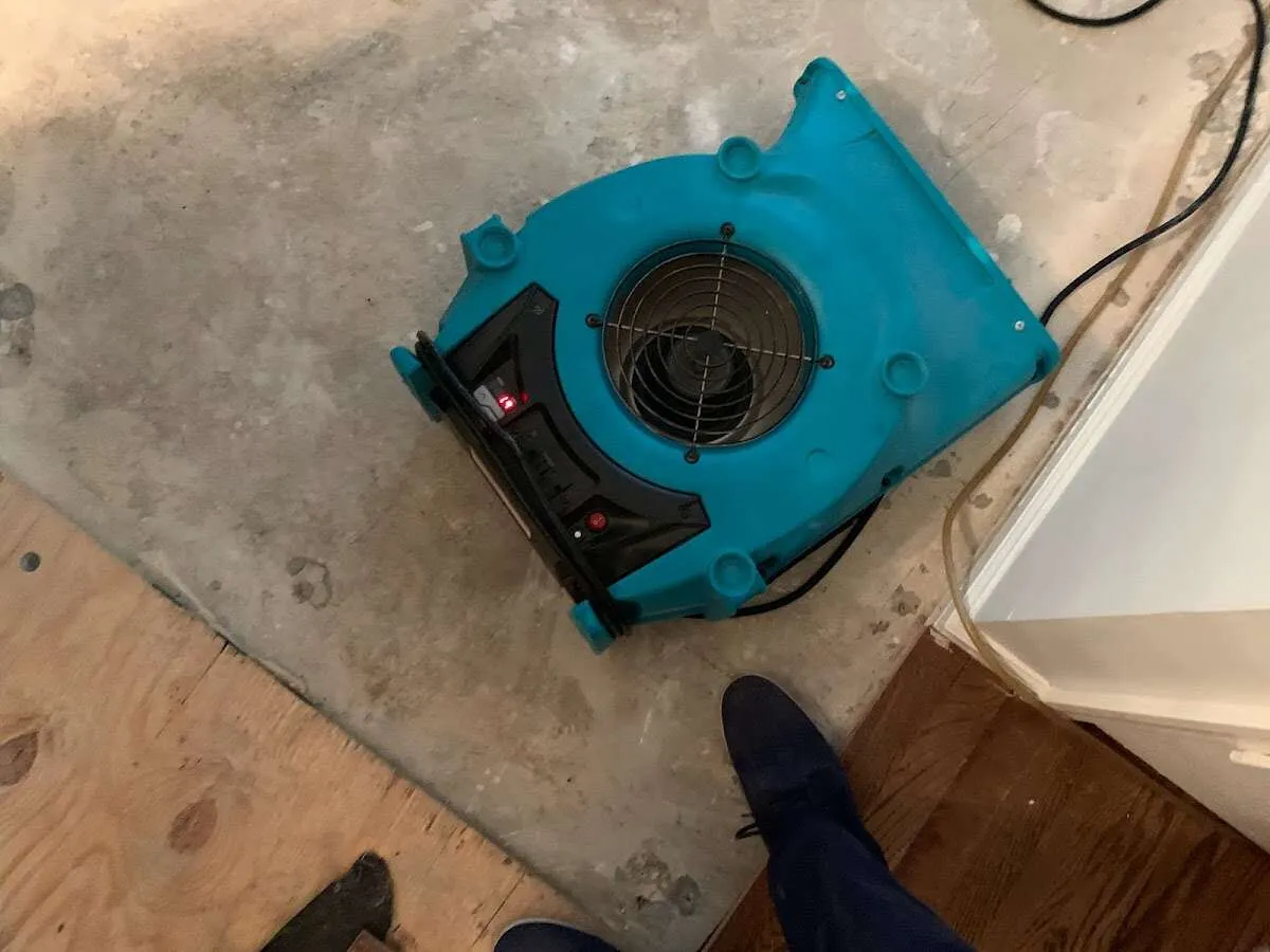 Air mover drying subfloor during Commercial Water Damage Restoration in Newtown